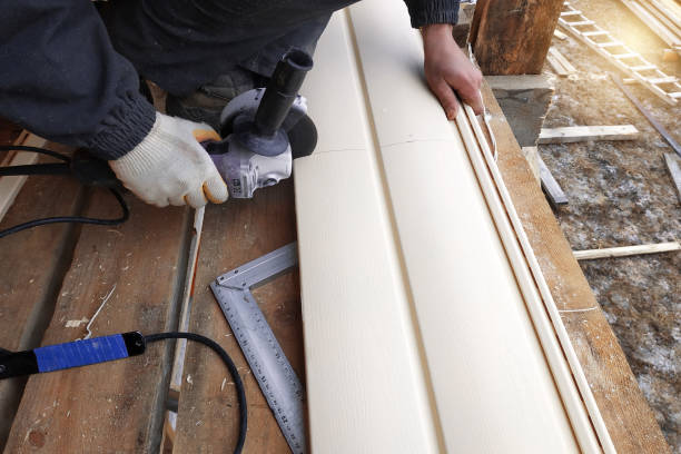 Best Insulated Siding Installation  in Sebastian, FL